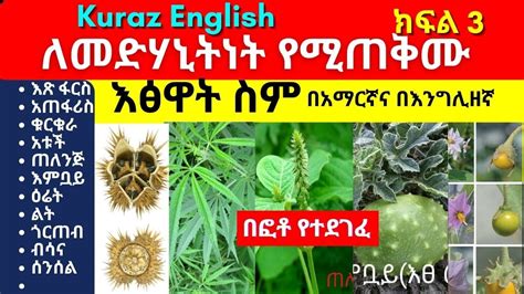 ICAP at Columbia University. . Plant science vacancy in ethiopia now